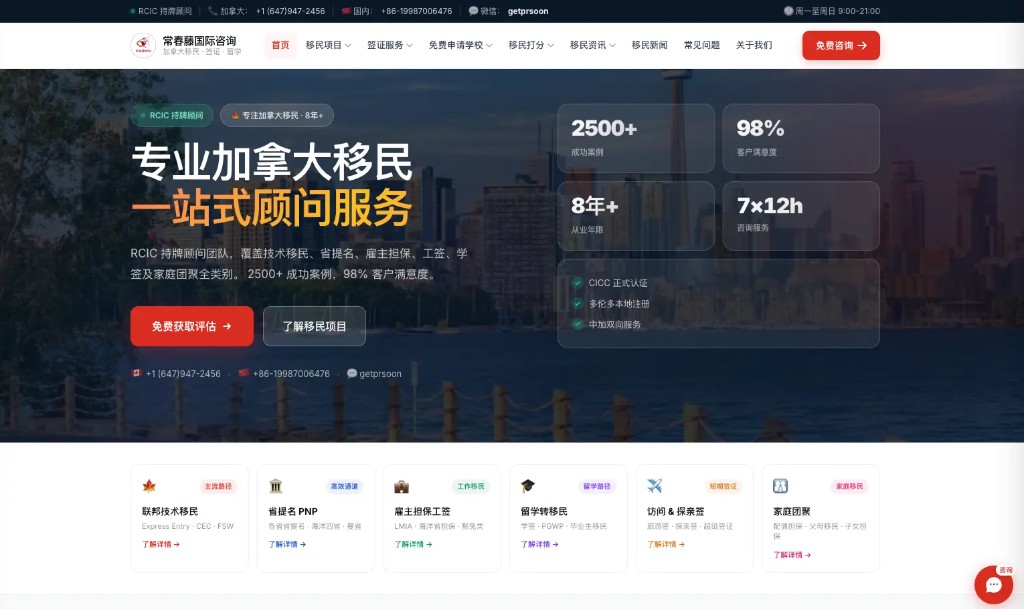 Cachina Visa Consulting project preview
