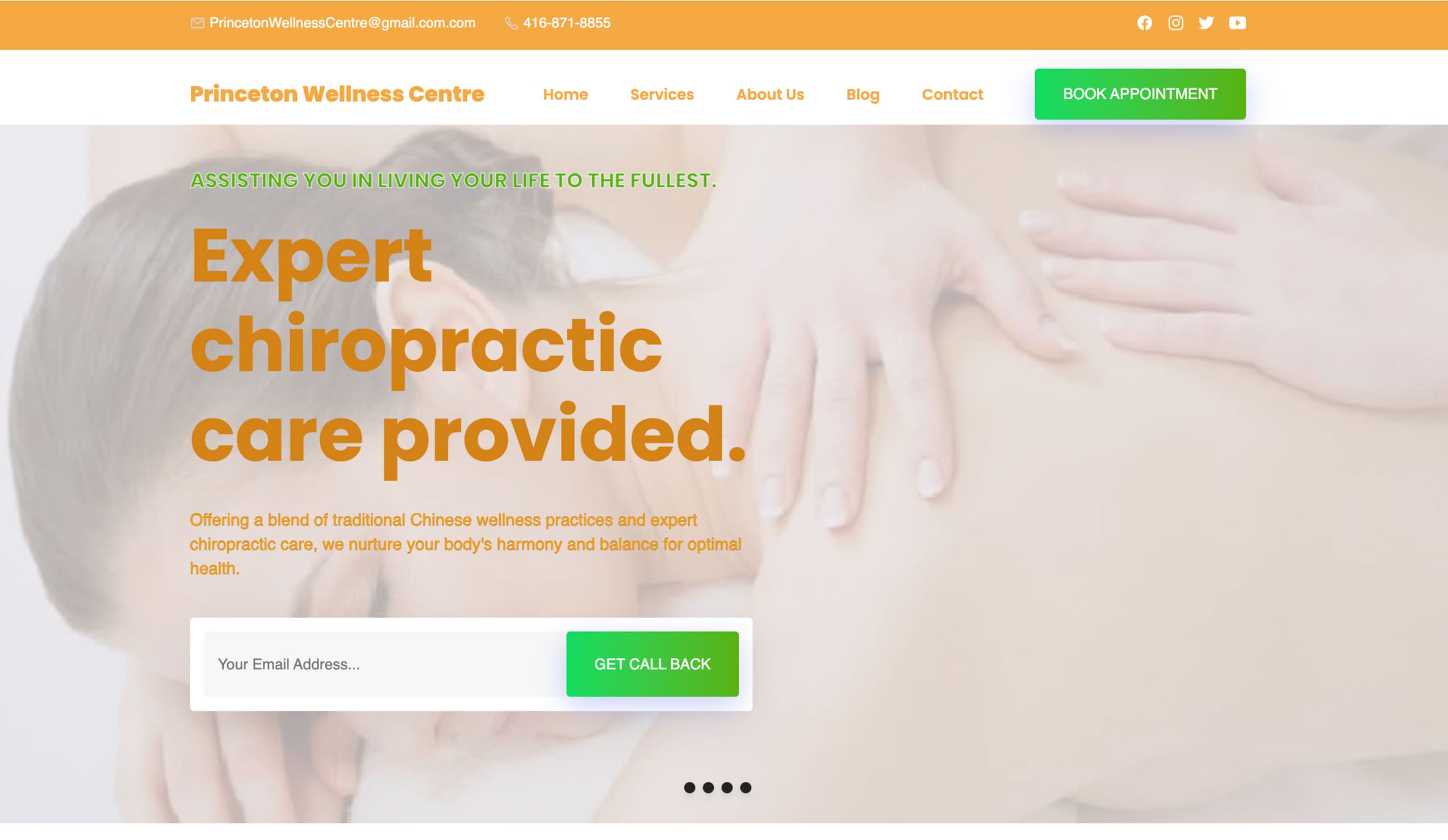 Princeton Wellness Centre Local SEO Case Study cover image